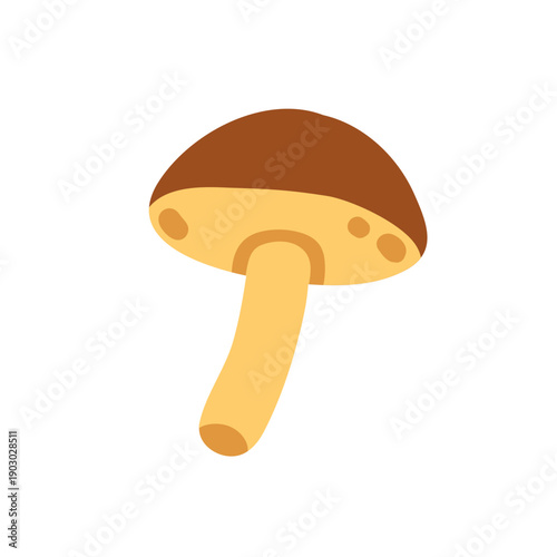 Porcini mushroom. Golden boletus with stem and cap. Wild forest fungi, autumn seasonal natural food. Edible bolete, fall fungus icon. Flat vector illustration isolated on white background