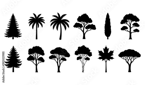 Tree silhouette set flat vector collection of different forest trees isolated on white background