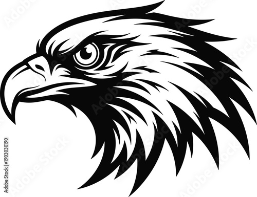 Bold black and white eagle head illustration, fierce raptor vector logo design, detailed wildlife mascot symbol isolated on clean background