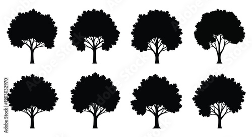 Eight black silhouette deciduous trees with distinct leafy crowns against white background