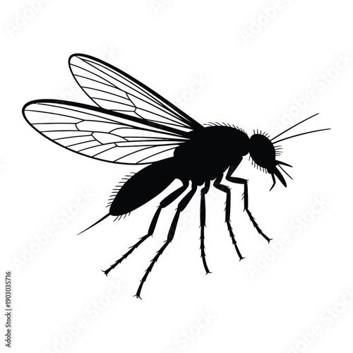 Gnat flying side view Vector, Silhouette, Illustration