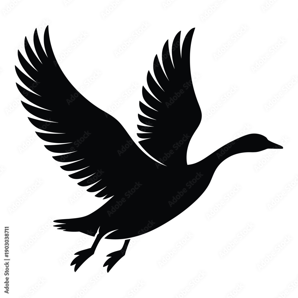 Fototapeta premium Goose flying with wings spread Vector, Silhouette, Illustration