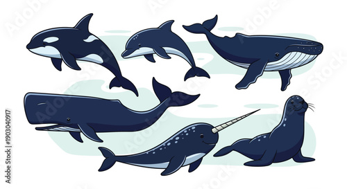 A collection of cartoon whales and dolphins swimming in blue hues