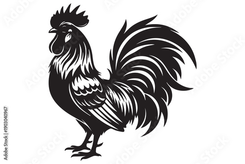 A black and white illustration of a rooster with detailed feathers