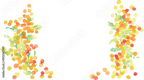 水彩画。水彩タッチのミモザのベクターイラスト。春のミモザ水彩フレーム。Watercolor painting. Vector illustration of a mimosa with a watercolor touch. Spring mimosa watercolor frame.