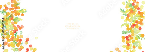 水彩画。水彩タッチのミモザのベクターイラスト。春のミモザ水彩フレーム。Watercolor painting. Vector illustration of a mimosa with a watercolor touch. Spring mimosa watercolor frame.