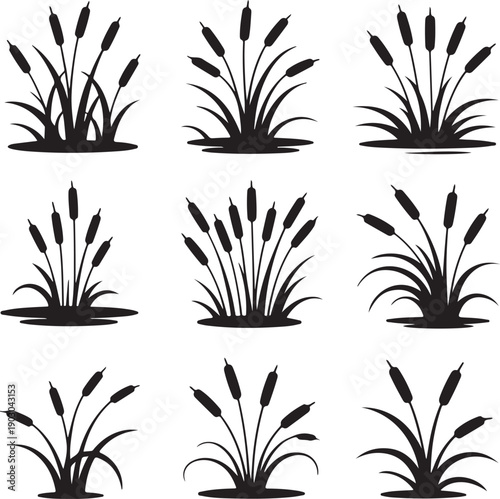 black silhouettes of cattail plants on white background