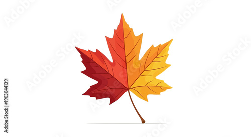 Colorful autumn maple leaf illustration on white background