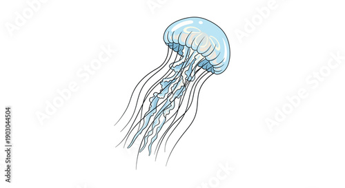 Vector illustration of a jellyfish with transparent tentacles on white background
