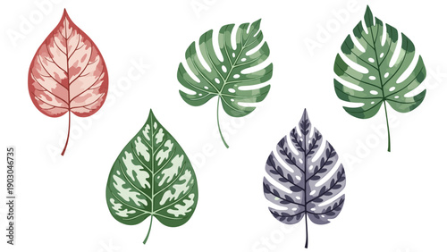 Artistic collection of tropical leaves featuring unique colorful patterns and textures for nature inspired designs.