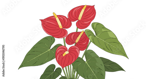 Vibrant tropical anthurium plant illustration featuring vivid red heart-shaped flowers and lush green foliage on a pristine white background elegant
