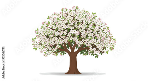Blooming spring tree with delicate white flowers and vibrant green leaves on a pristine white background. A symbol of renewal and natural beauty
