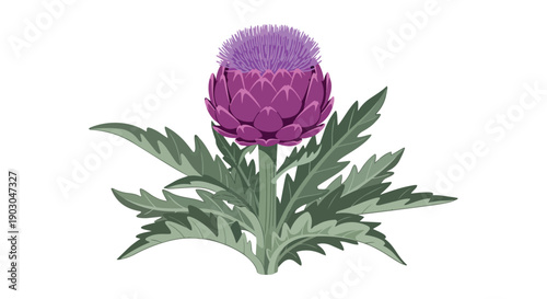 Vibrant purple artichoke thistle illustration, showcasing botanical beauty and natural symmetry