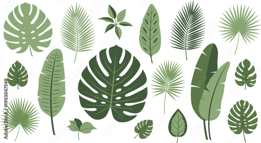 Naklejka premium Flat Vector Illustration Set of Various Tropical Green Leaves and Exotic Jungle Foliage Including Monstera Palm Fronds Banana Leaves and Ferns