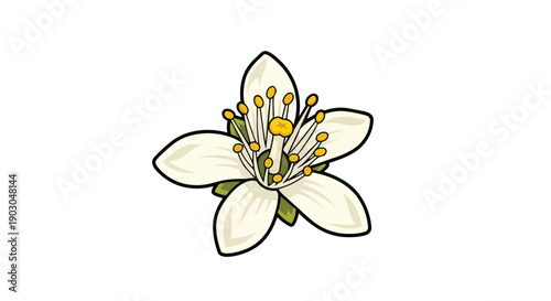 Stylized white blossom illustration with vivid yellow stamens