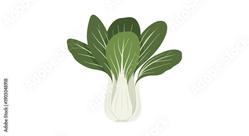 Vibrant green bok choy vegetable illustration on a pristine white background, showcasing fresh Asian culinary ingredient for healthy meals and cooking