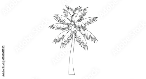 Elegant line art depiction of a tropical palm tree with textured fronds, capturing island essence