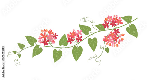 A vibrant illustration of a delicate flowering vine adorned with lush green leaves and charming clusters of reddish-pink blossoms, creating an
