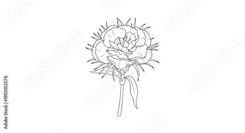 An elegant monochrome line art illustration of a single flower bloom, intricately detailed with graceful petals and a delicate stem, perfect for