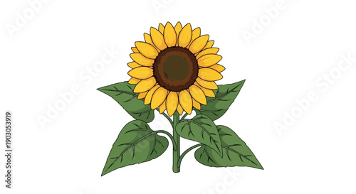 Bright illustration of a sunflower in bloom, featuring golden yellow petals and lush green leaves, symbolizing warmth, happiness, natural growth