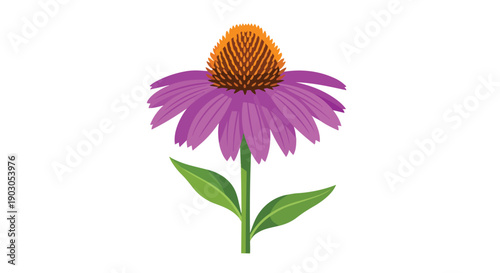 Vibrant stylized purple coneflower illustration with prominent conical center and elegant petals, symbolizing natural beauty and holistic wellness,