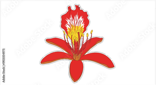 Vibrant digital illustration of a bright red exotic flower highlighting its detailed golden yellow anthers and filaments against a pristine white