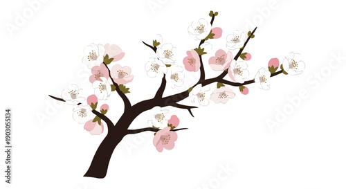 Elegant illustrated branch adorned with delicate pink and white spring blossoms.