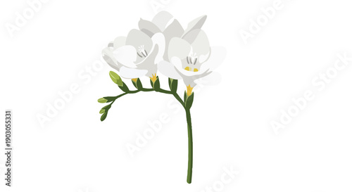 Graceful white freesia blooms on a verdant stem, showcasing pure elegance and delicate beauty against a pristine background, ideal for serene