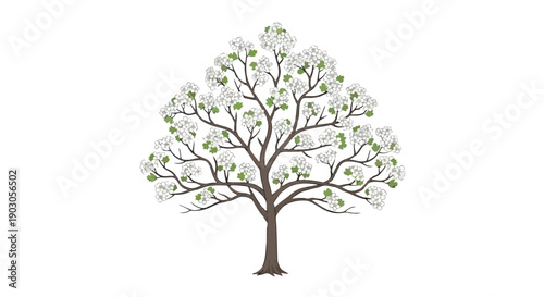 Elegant spring tree illustration with delicate white blossoms and fresh green leaves on a pristine background