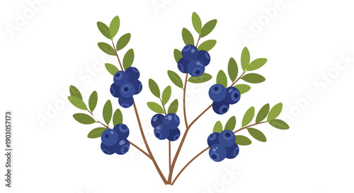 A delightful vector graphic portraying a vibrant blueberry plant, showcasing numerous clusters of deep indigo berries amidst fresh green leaves,