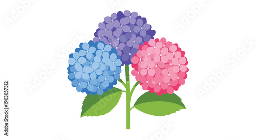 Vibrant floral illustration showcasing a cluster of colorful hydrangea blossoms with fresh green foliage against a pristine white backdrop perfect