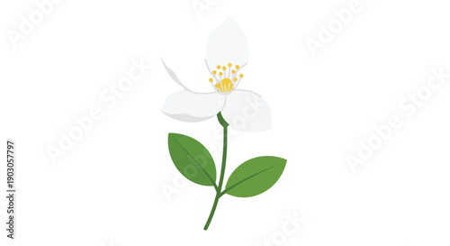 An elegant white blossom vector illustration featuring three delicate petals a vibrant yellow center and two lush green leaves a symbol of purity
