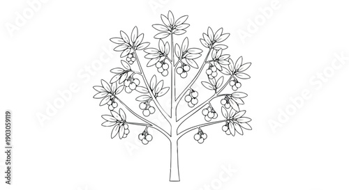 Elegant monochrome sketch of a flourishing fruit-bearing tree, featuring stylized leaves and abundant berry clusters rendered with a unique