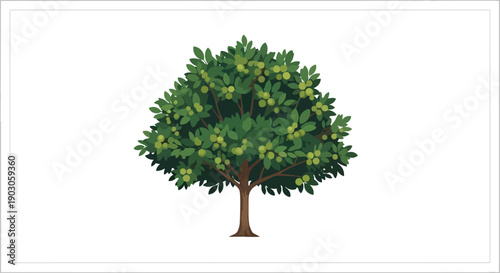 Vibrant illustration of a healthy fruit tree brimming with lush green foliage and ripening small light green berries on a plain white background,