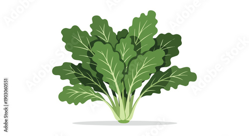 Vibrant green leafy vegetable illustration showcasing fresh garden produce for healthy eating. This image promotes natural, plant-based nutrition