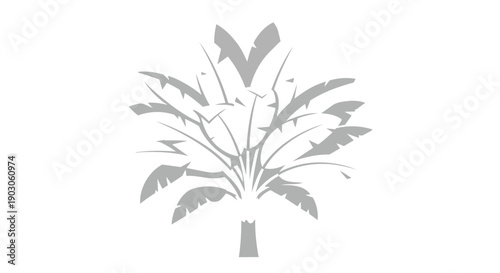 An elegant graphic illustration showcasing a stylized tropical plant silhouette on a clean white background ideal for minimalist design applications