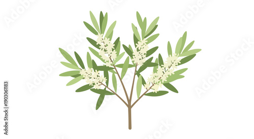 A precisely rendered digital illustration of a flowering plant branch featuring a delightful array of verdant green leaves and delicate white