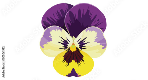 A vibrant purple and yellow pansy blossom illustration captures the essence of spring's delicate beauty with bold, stylized petals on a clean white