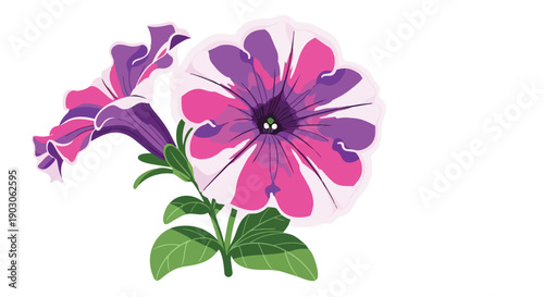 Stylized artwork of two blossoming flowers, showcasing striking magenta and deep violet petals with green leaves against a pristine white background