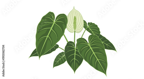 Stylized illustration of a peaceful indoor houseplant showcasing broad, verdant green leaves and an iconic white bloom, ideal for modern botanical