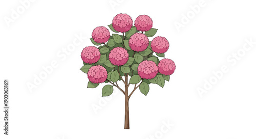 Vibrant pink flowering plant illustration on clean white background, detailed botanical artwork.