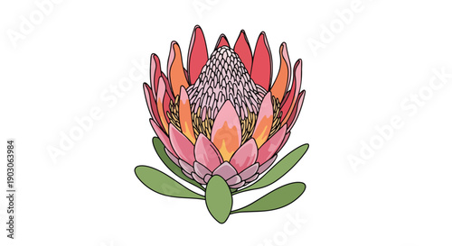 Stylized protea flower illustration showcasing vibrant botanical beauty with layered petals and intricate detail a striking graphic element for
