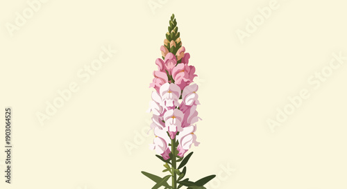 Elegant pink snapdragon flower vector illustration capturing botanical grace and vibrant natural beauty