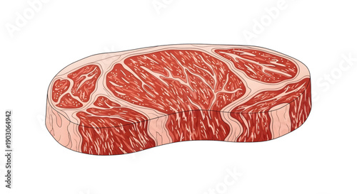 Raw beef steak cut meat.
