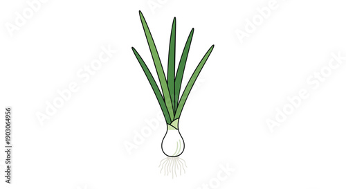 Freshly harvested vibrant green onion with tender white bulb and crisp green stalks illustration on white background