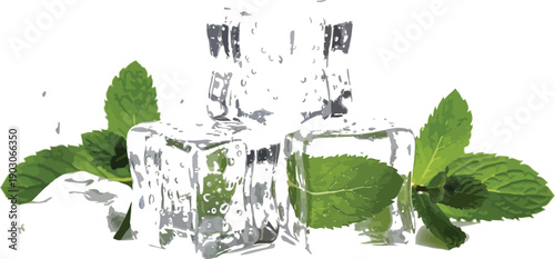 Fresh mint leaves surrounded by clear ice cubes on a white background surface