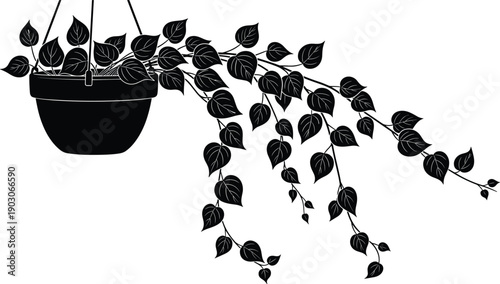 Detailed Black Silhouette of a Lush Hanging Ivy Houseplant in a Round Pot with Cascading Vines and Leaves Isolated on a White Background