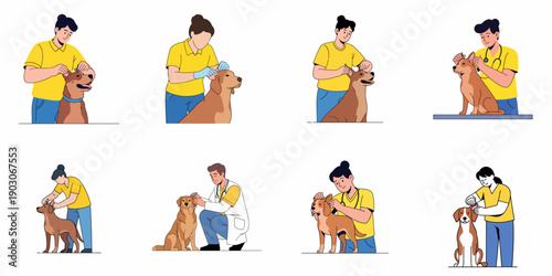 Pet ear care concept collection: people cleaning, checking, and treating dogs' ears for health and hygiene.