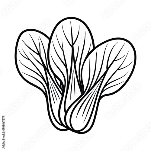 A black and white illustration of a bunch of leafy spinach