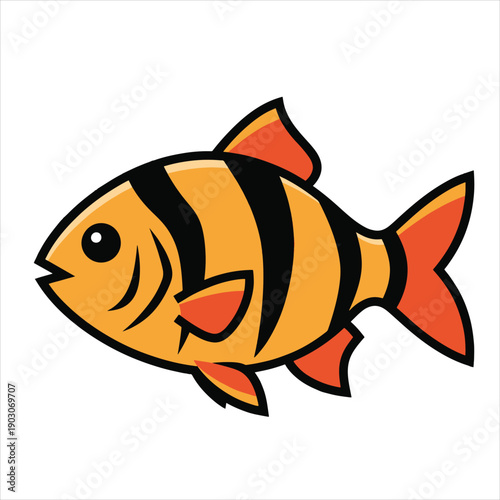 Tiger barb illustration vector art design